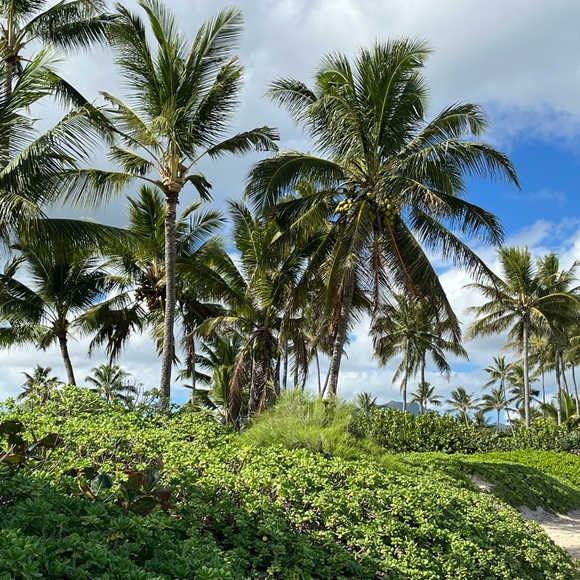 KMSCTE - Picture 14 of 14